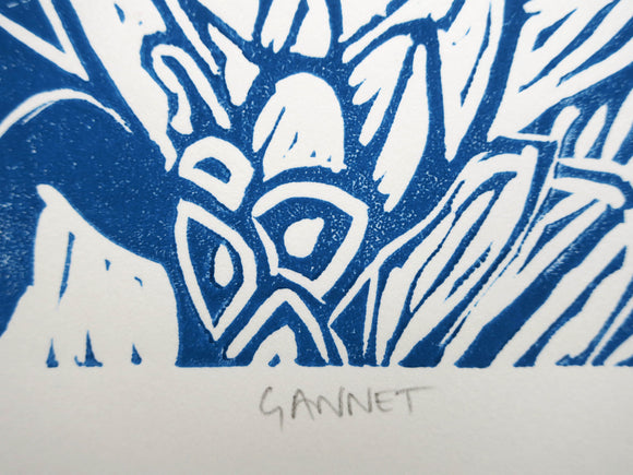 Gannet II